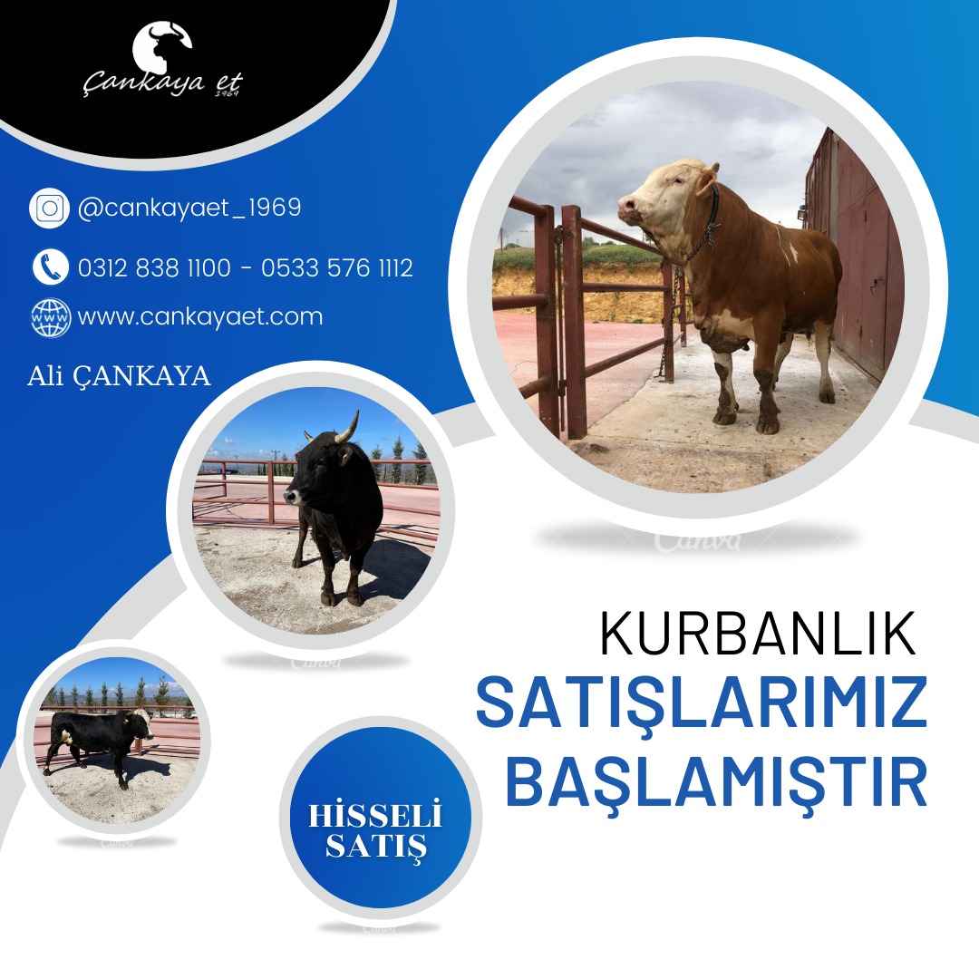 Kurbanlık Satışımız Başlamıştır